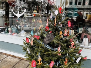 Coxsackie-Christmas-by-the-River-2025