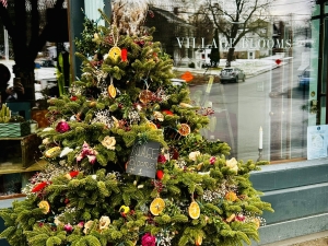 Coxsackie-Christmas-by-the-River-2025