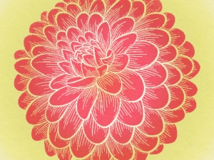 You Pick Dahlias