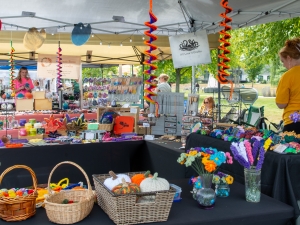 Coxsackie riverside festival