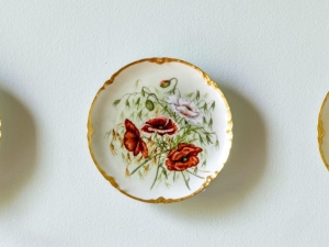 Curators’ Tour Emily Cole: Ceramics, Flora & Contemporary Responses