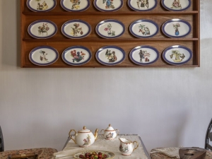Curators’ Tour Emily Cole: Ceramics, Flora & Contemporary Responses