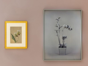 Artist & Curator Roundtable: "Emily Cole: Ceramics, Flora, & Contemporary Practices"