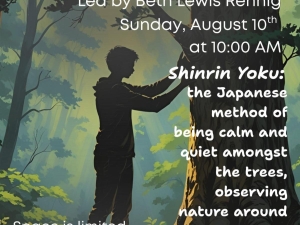 Forest Bathing Zen Hike Mountain Top Historical Society