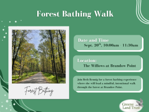 Forest-Bathing-Walk