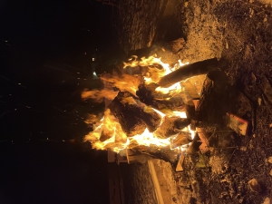 Bon Fire 