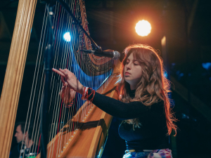 Follow-the-arrow-music-festival-Griffin-House-palenville-ny