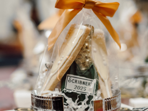 Scribner's-Catskill-Lounge-Cosmic-countdown-new-years-hunter