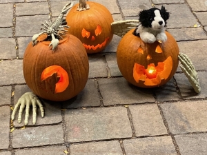 Tannersville-Pumpkin-Walk-Lighting