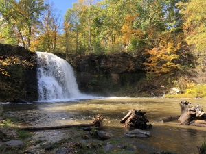 Shinglekill Falls