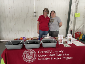 Greene-county-public-health-event-free-for-families-historic-catskill-point