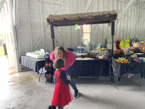 Greene-county-public-health-event-free-for-families-historic-catskill-point