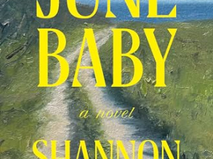 June-baby-womens-book-retreat-all-booked-windham-ny