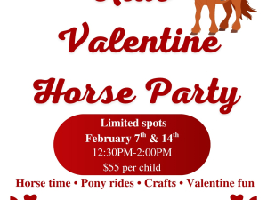 catskills-things-to-do-valentines-day-bailiwick-animal-park-winter-horseback-riding