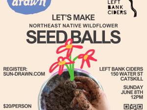 Left bank ciders seedballs