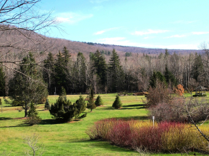 mountain-top-arboretum-tannersville-ny