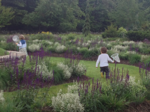 the-canopy-dinner-mountain-top-arboretum-tannersville-ny
