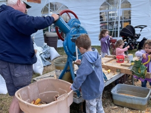 corn shucking
