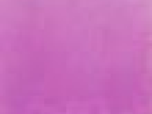 Jason Travers "Pagan Love Song"