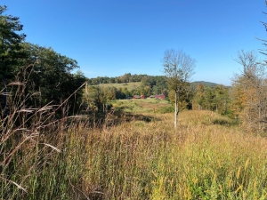 "What's Missing?" Artworks in the Olana Landscape