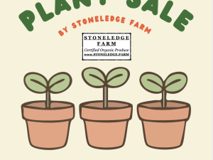 Organic Plant Sale