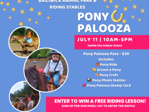 Pony-palooza-bailiwick-animal-park-catskill-ny