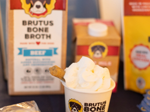 Pupstater-scribners-catskill-lodge-hunter-ny