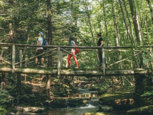 Q2_2026_Past_Present_and_Future_of_our_Forests_SMF_Photo_Credit_-_Hans_Isaacson_for_the_National_Association_of_State_Foresters-2