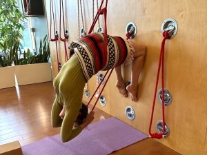 Yoga ropes