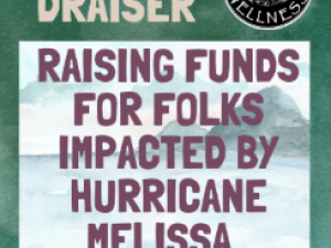 Live-concert-Jamaica-fundraiser