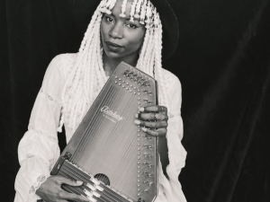 Live-concert-Jamaica-fundraiser-catskill