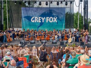 Grey-fox-blue-grass-festival-upstate-ny-catskills