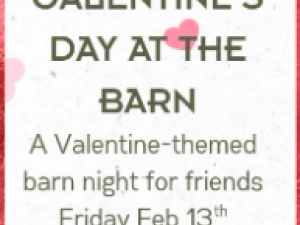 catskills-things-to-do-galentines-day-bailiwick-animal-park-winter-events