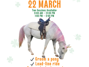Lucky-Pony-Pals-Day-Bailiwick-Catskill-ny