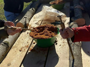 mushroom-farming-class-series-shitake-mushroom-cultivation-cornell-cooperative-extension-Great-northern-catskills-workshops