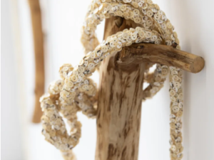 animal-bodies-Elana-Herzog-jean-shin-brigitta-varadi-athens-ny