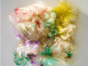 animal-bodies-Elana-Herzog-jean-shin-brigitta-varadi-athens-ny
