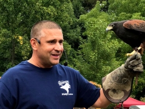 Scribner's-catskill-lodge-birds-of-prey