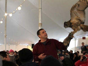 Scribner's-catskill-lodge-birds-of-prey