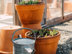 Scribner-edible-garden-workshop-hunter-ny