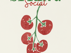 Spring Social