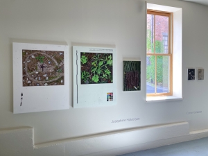 Spritz3000-Relational-Landscapes-Instal-Foreland-catskill