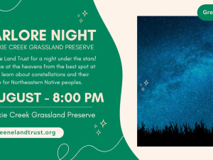 Perseid-meteor-shower-stargazing-event-in-the-catskills-greenalnd-trust-events