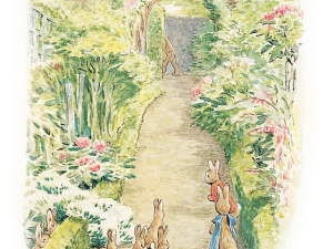 Story Walk