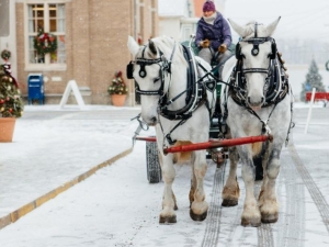 Holiday, winter, family fun