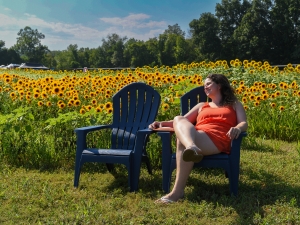 pick-your-own-sunflowers-meadowbrook