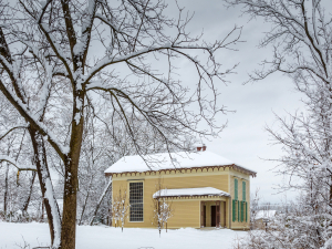 The-Social-Salon-Winter-House-Tour-Thomas-Cole