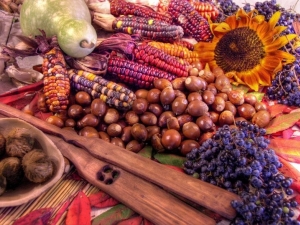 Thomas Cole Harvest Festival 