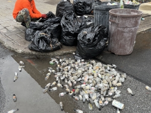 Trash crawl