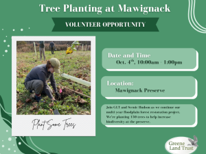 Tree-Planting